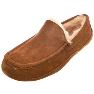 ASCOT SHOES CHESTNUT - Scarpe / Mocassini Profilo Basso Uomo Marroni UGMASCCHE1101110M . UGG 