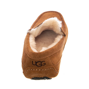 ASCOT SHOES CHESTNUT - Scarpe / Mocassini Profilo Basso Uomo Marroni UGMASCCHE1101110M . UGG 