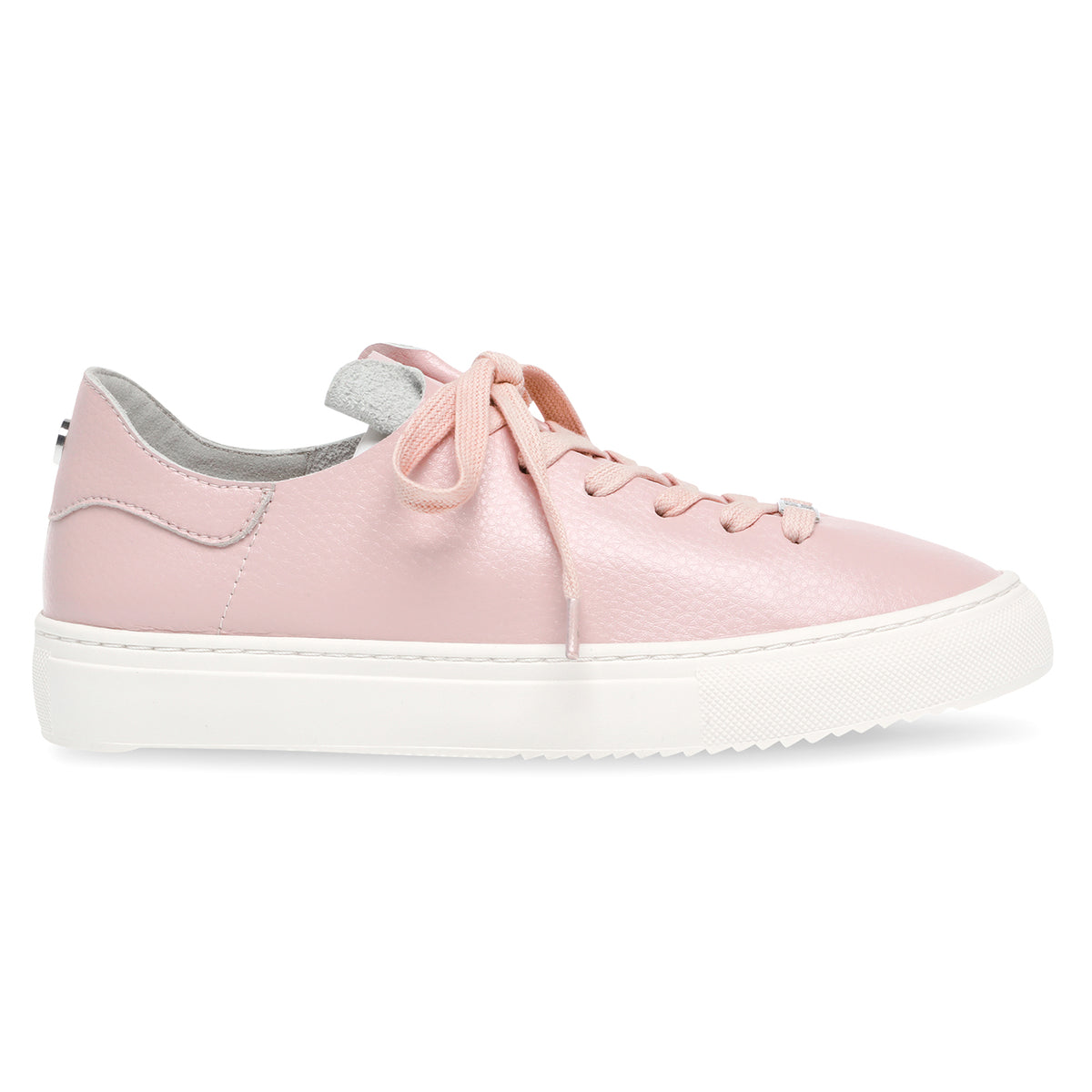 Dorey-Sm Pink - Scarpe Stringate Profilo Basso Donna Rosa SMPDOREY-SM-PIN . STEVE MADDEN 