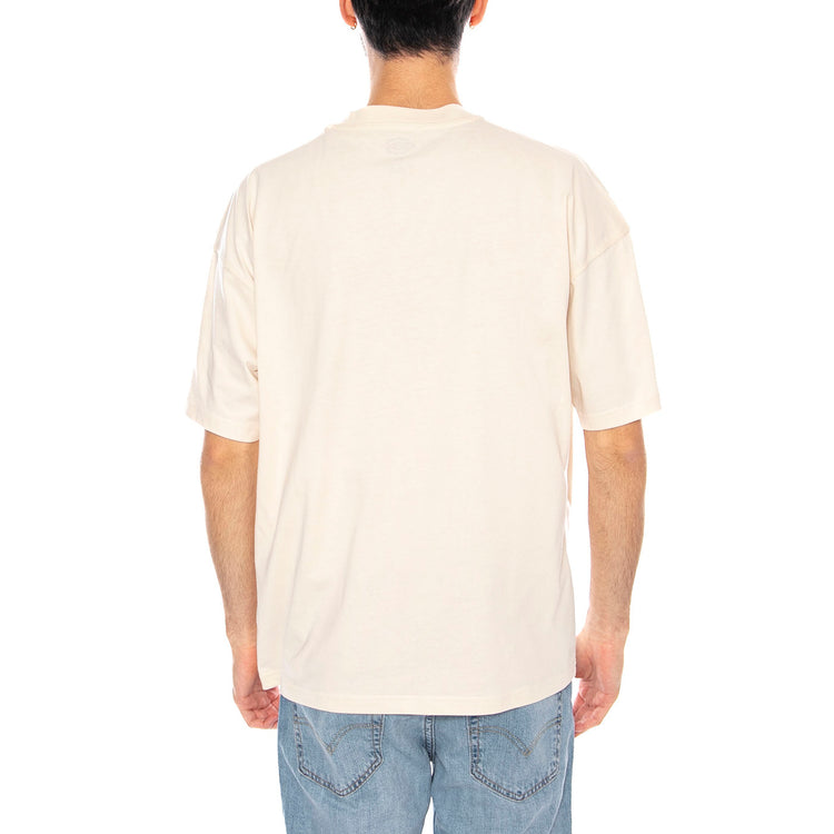 Enterprise SS Maglietta -- Maglietta Uomo Whitcap Gray DK0A4YRNF901 . DICKIES 