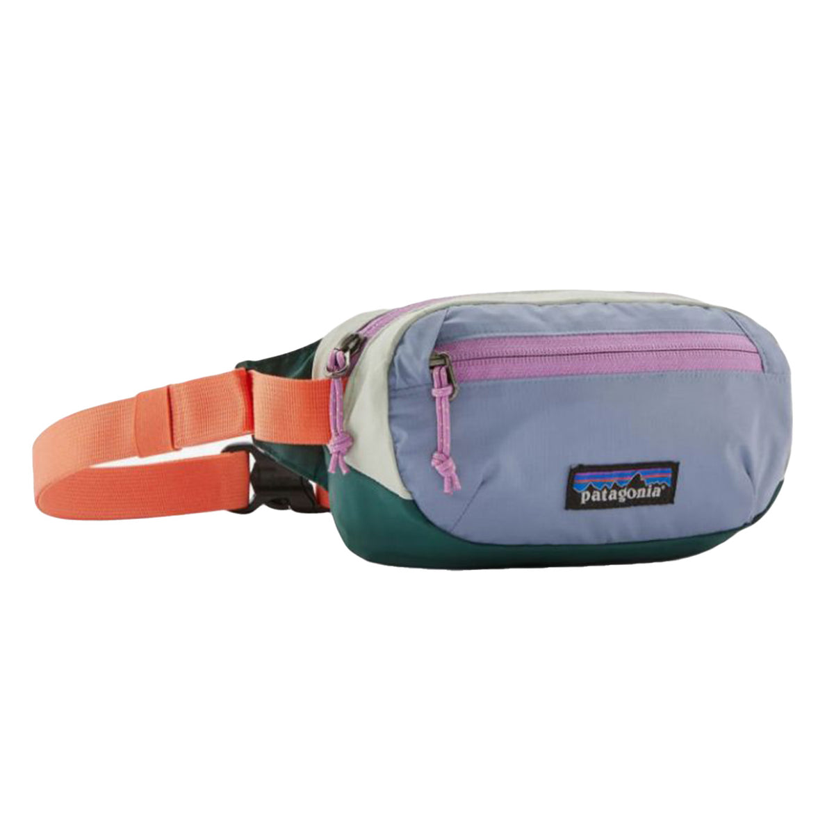 Terravia Mini Hip Pack PWBC - Marsupio Multicolore 49448 PWBC PATAGONIA 