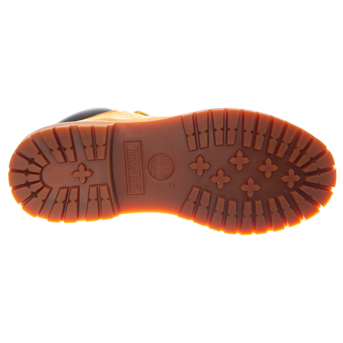 Premium 6 Inch Boot Wheat - Stivaletti Donna Beige TB110361 7131 TIMBERLAND 