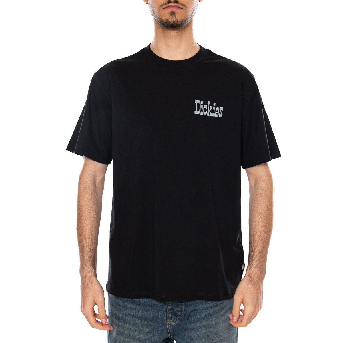 VERNAL SS TEE BLACK - Maglietta Girocollo Uomo Nera DK0A88JV BLK1 DICKIES 