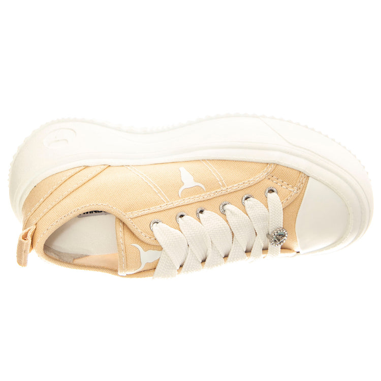 Intentions Sand / White Canvas / Brave White - Scarpe Donna Beige WSPINTENTIONS-SANWHT . WINDSOR SMITH 