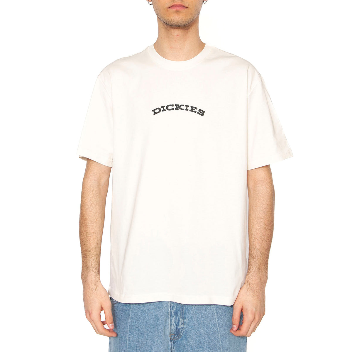Dickies Outdoor SS Tee Egret - Maglietta Girocollo Uomo Beige DK0A4Z8PC481 . DICKIES 