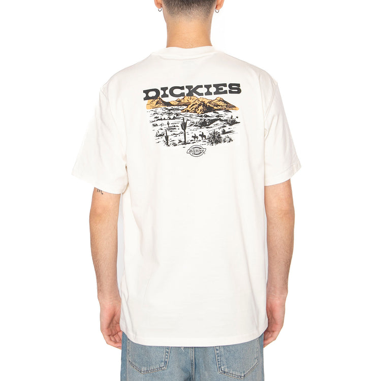 Landscape SS Tee Egret - Maglietta Girocollo Uomo Bianca DK0A4Z8VC481 . DICKIES 