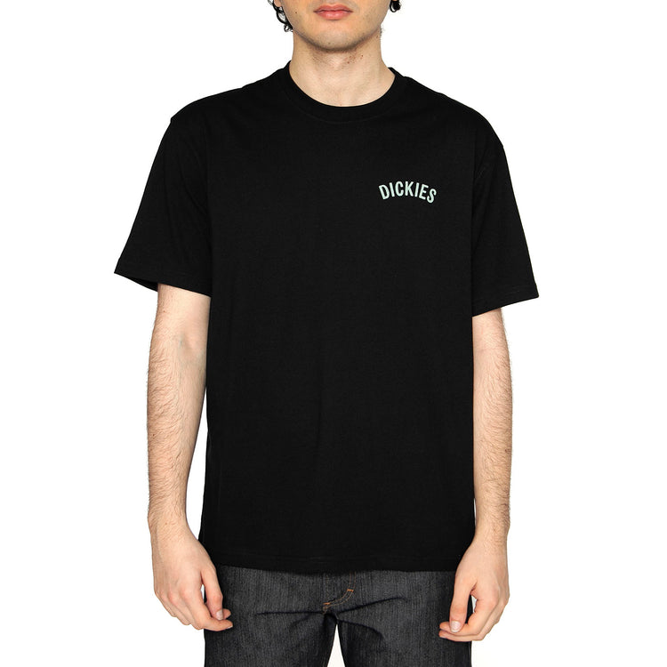 Dickies Snake SS Tee Black - Maglietta Girocollo Uomo Nera DK0A4Z99BLK1 . DICKIES 