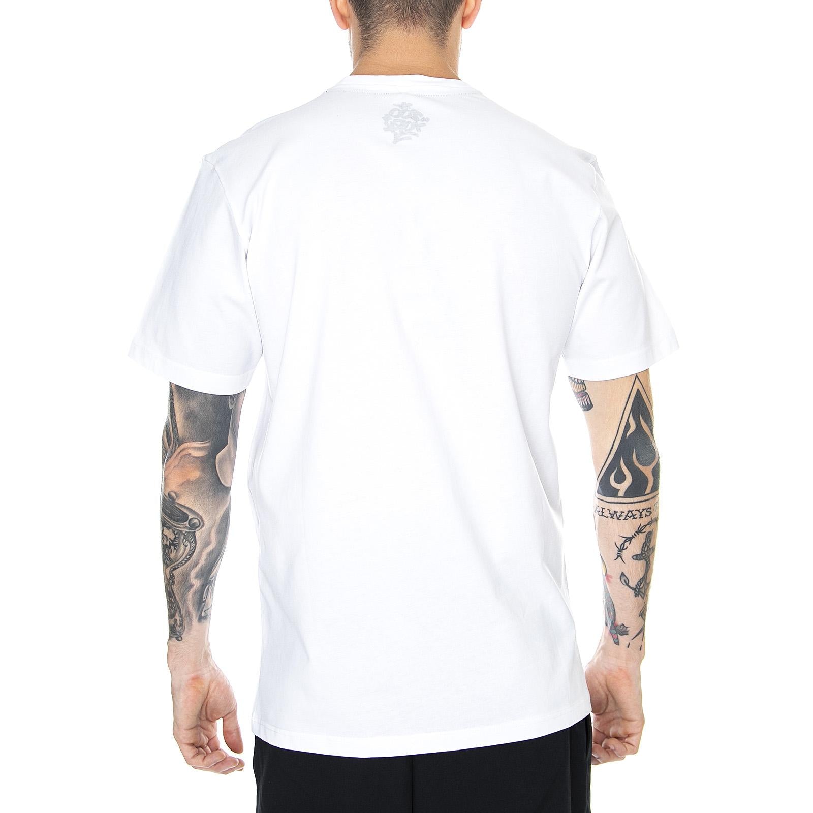  ZY-TS003  ZOO YORK 