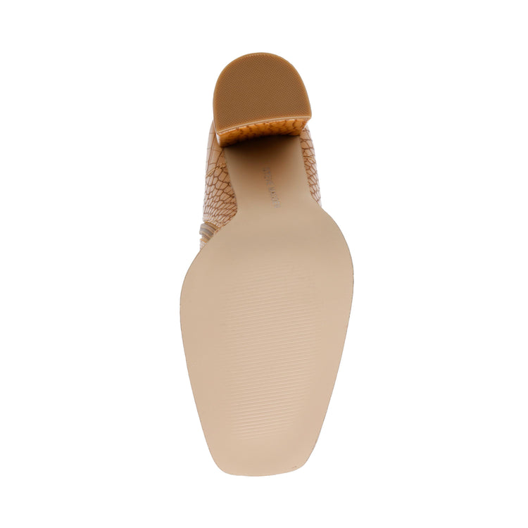 Foremost Tan Croco - Stivaletti Donna Marroni SMSFOREMOST-TAN  STEVE MADDEN 