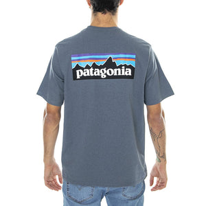  38504-PLGY  PATAGONIA 