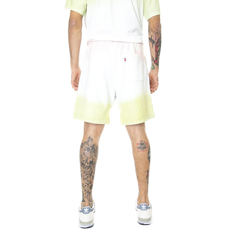  A1062-0008  LEVIS 