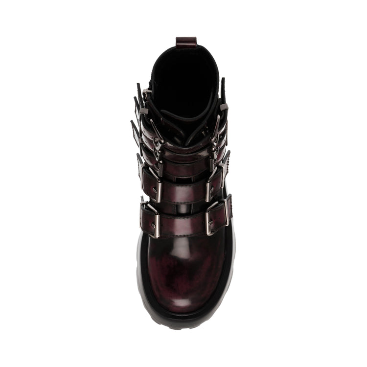 Madzone Wine / Black - Stivali Donna Multicolore SMSMADZONE-664  STEVE MADDEN 