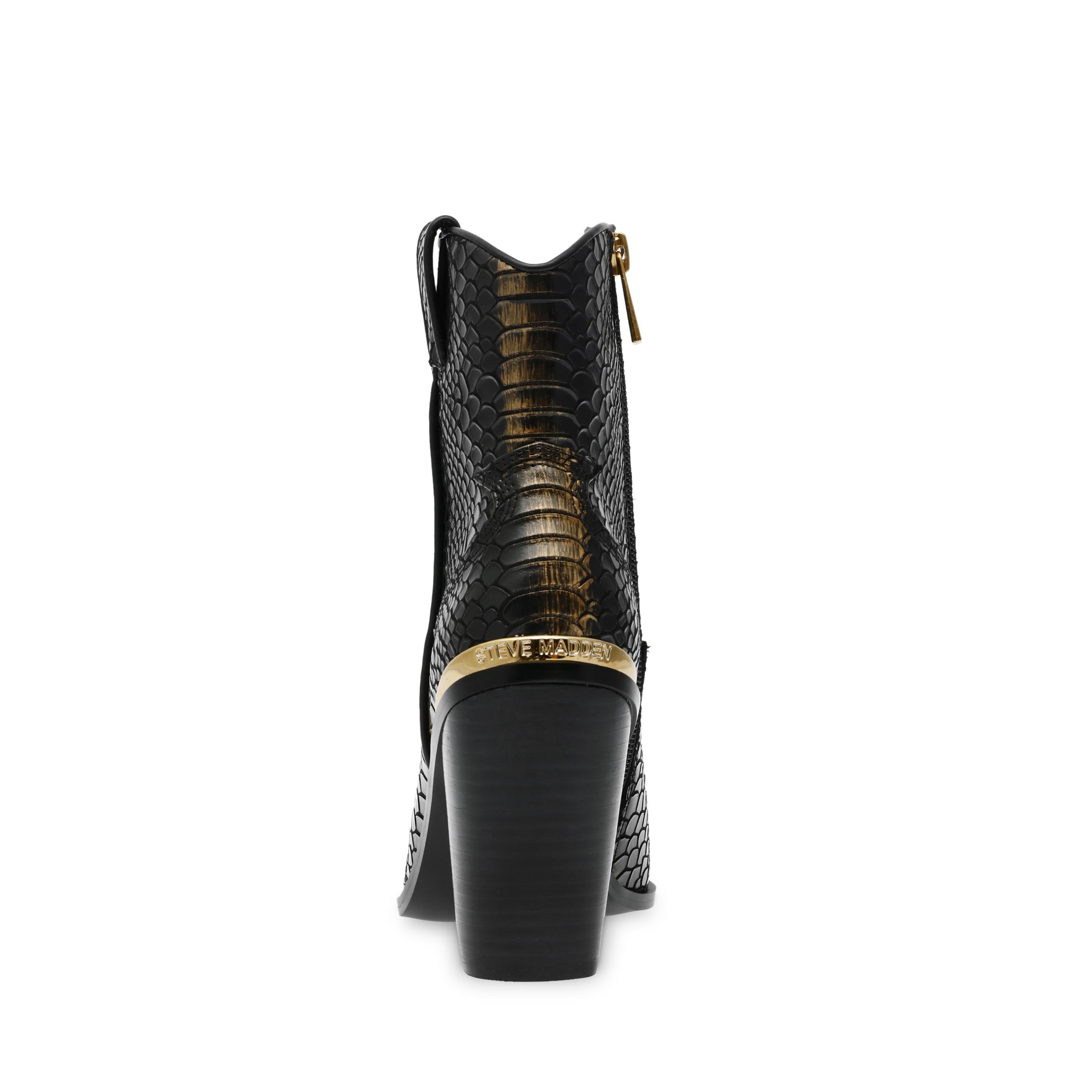Torrey Blk / Bronze - Stivaletti Donna Neri SMSTORREY-BLK  STEVE MADDEN 